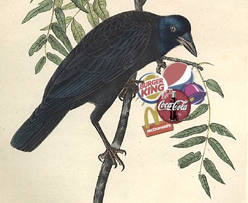 Audubon illustration of a raven perched on a tree branch with various fast food and soda corporation logos growing on it as fruit